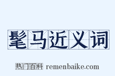 髦马近义词是什么意思的图片